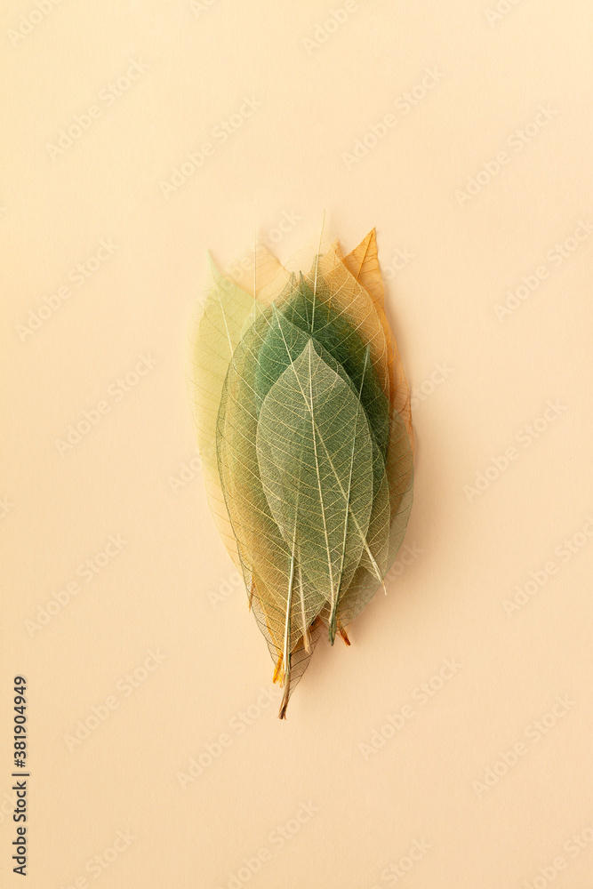 Artificial autumn leaves on color background, closeup, flat lay