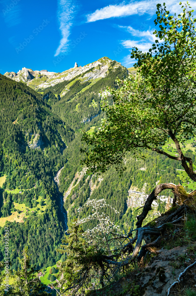 瑞士阿尔卑斯山Lauterbrunnen山谷景观