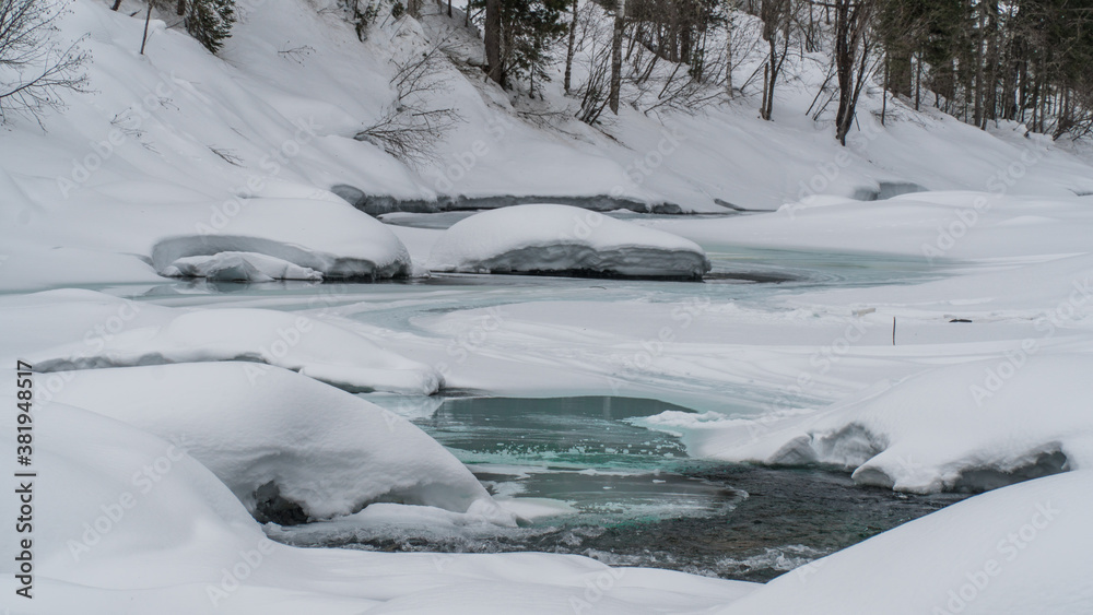 nature trips at different times of the year