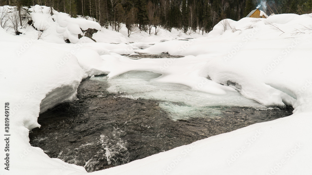 nature trips at different times of the year