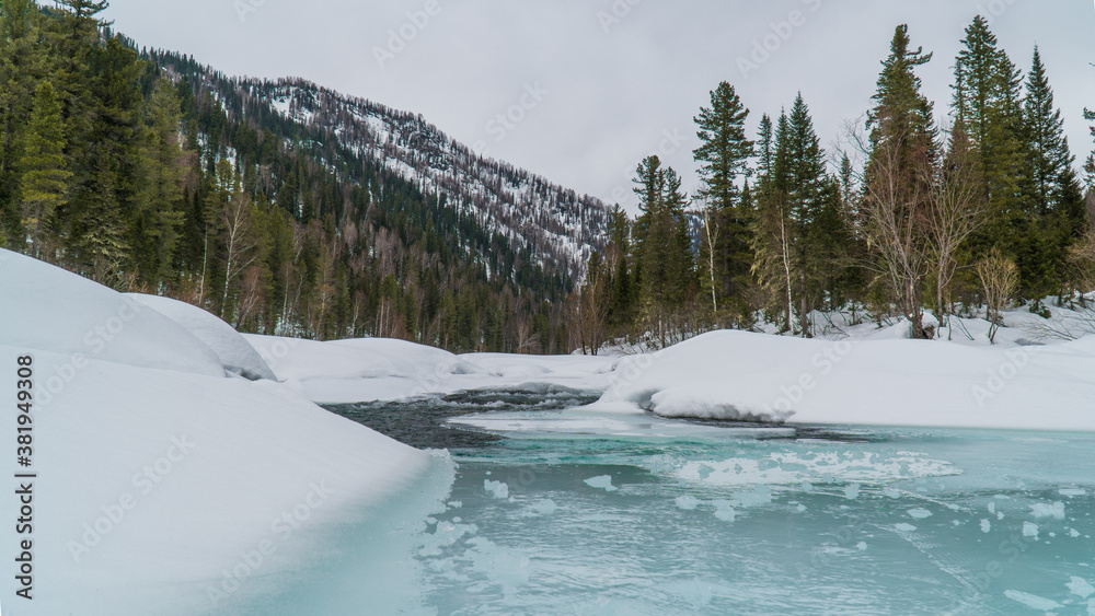 nature trips at different times of the year