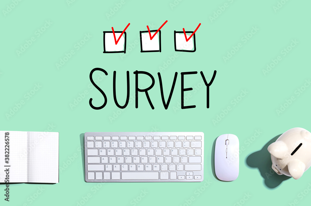 Survey with a computer keyboard and a piggy bank