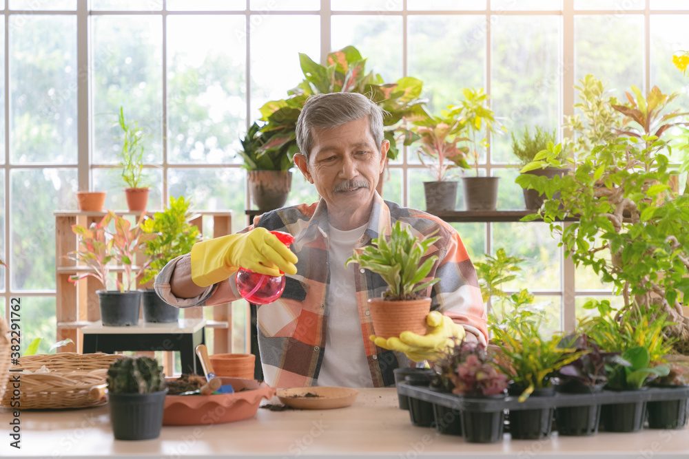 Senior asian retirement old man doing a hobby relax in gardening and water spraying tree plant in ga