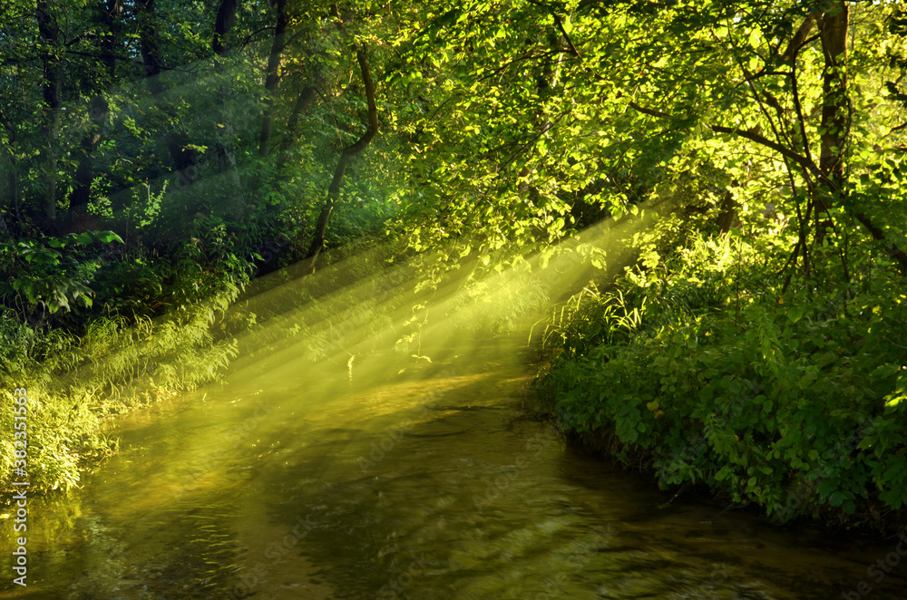 Slanted sunrays over running river. Summer forest landscape. Transparent light. Green foliage leaves