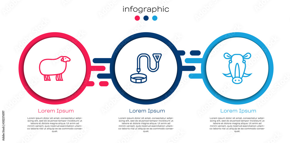 Set line Sheep, Collar with name tag and Wild boar head. Business infographic template. Vector.