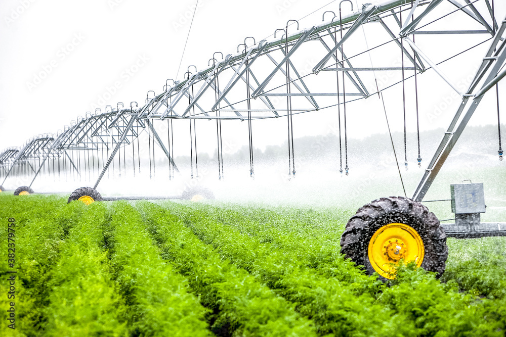 Blurred green field landscape with automatical irrigation process.