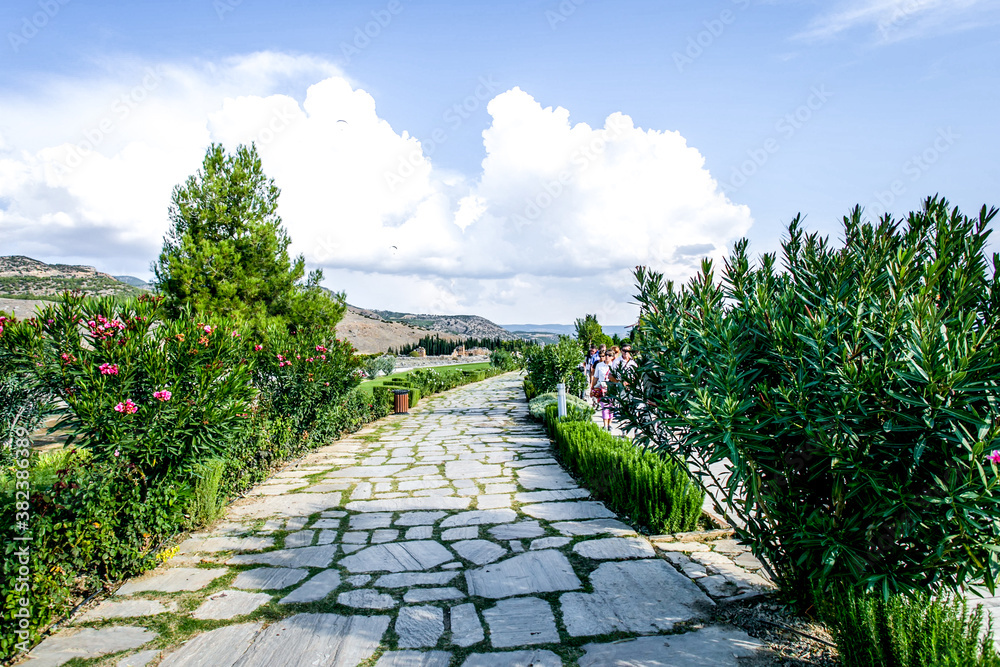 Stone and green grass way