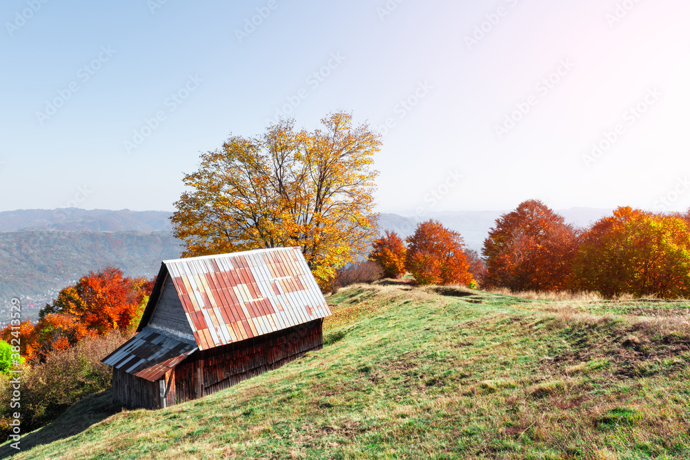 Picturesque meadow with wooden house and red beech trees in the autumn mountains. Landscape photogra