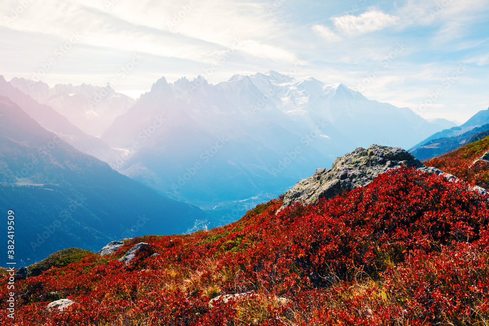 Amazing view on Monte Bianco mountains range with with Monblan on background. Vallon de Berard Natur