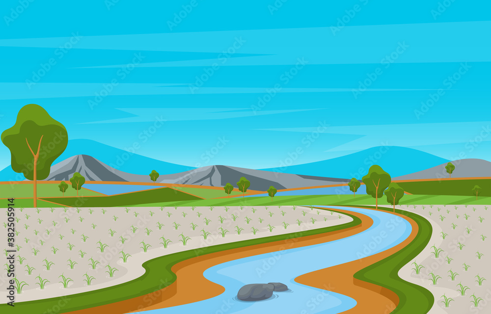 Asian Rice Field Paddy Plantation Agriculture Landscape Illustration