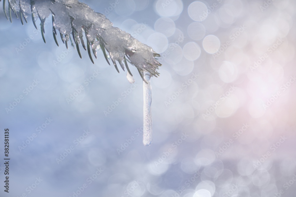 Winter branch on glittering blurred snowy background.