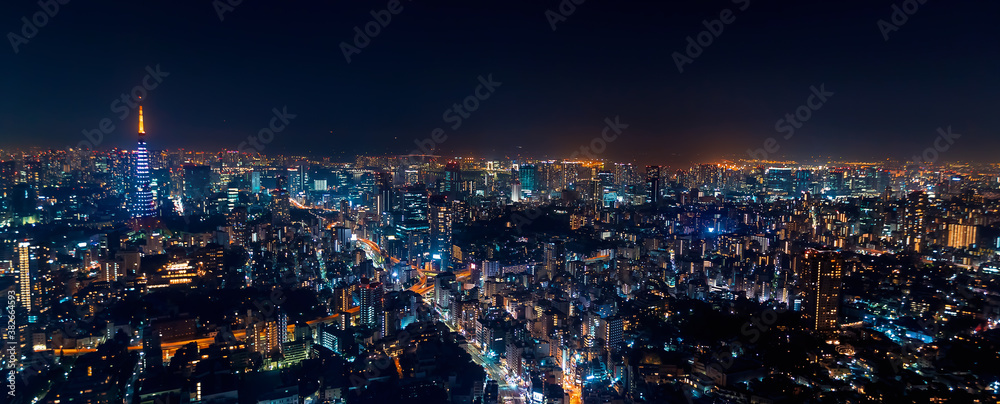 Tokyo, Japan cityscape view from high above