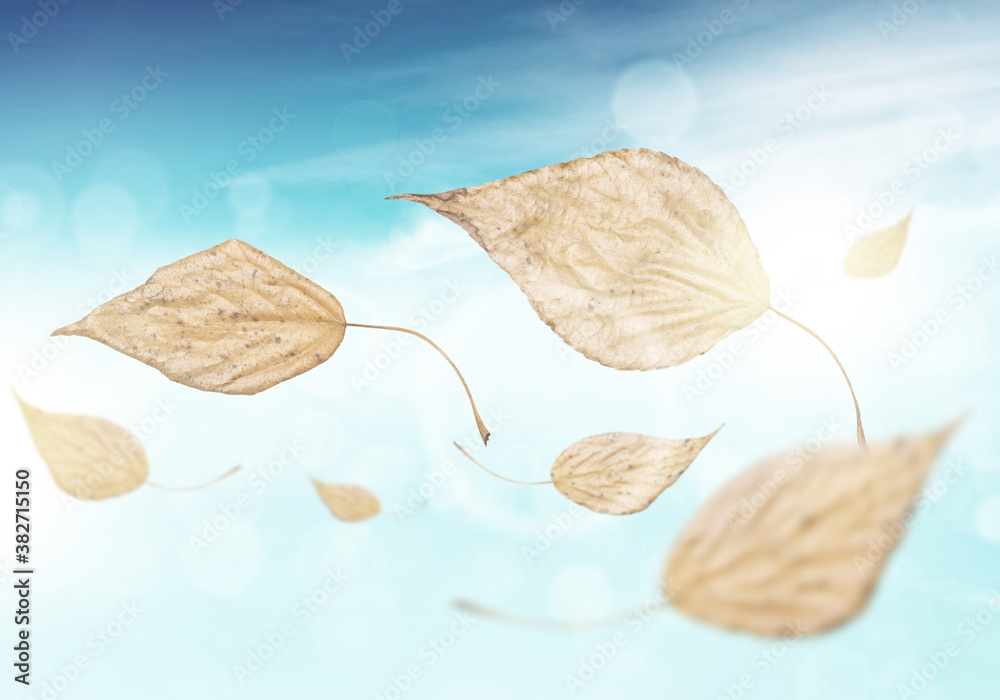 Autumn background