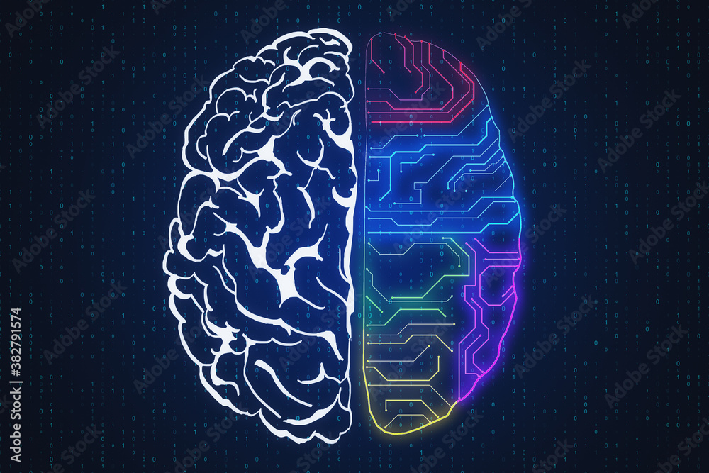 Circuit brain sketch