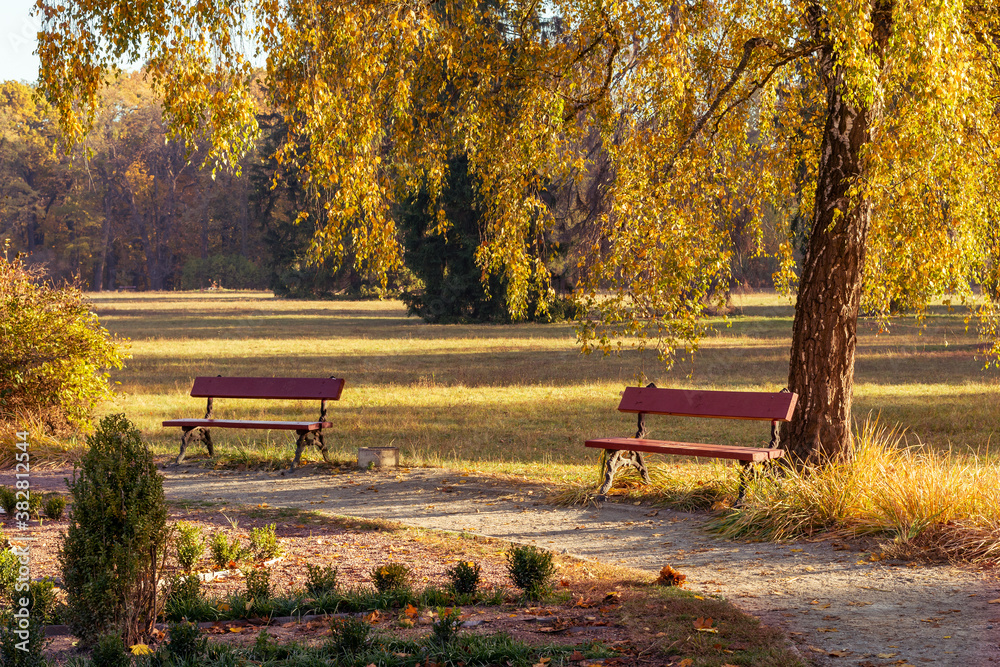 Empty bench in a beautiful autumn city park