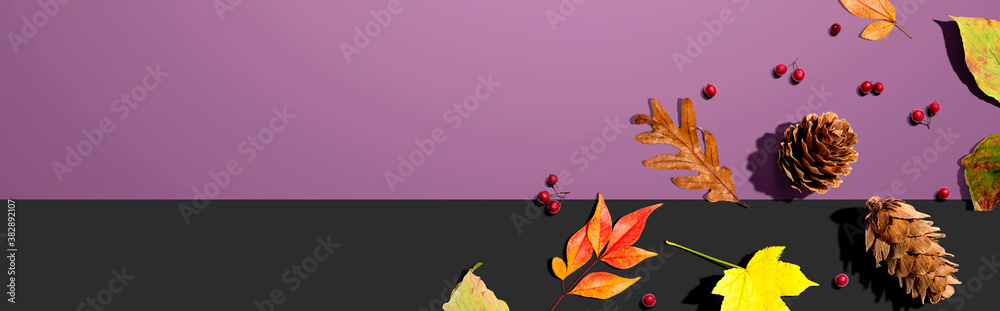 Colorful autumn leaves with pinecones overhead view - flat lay