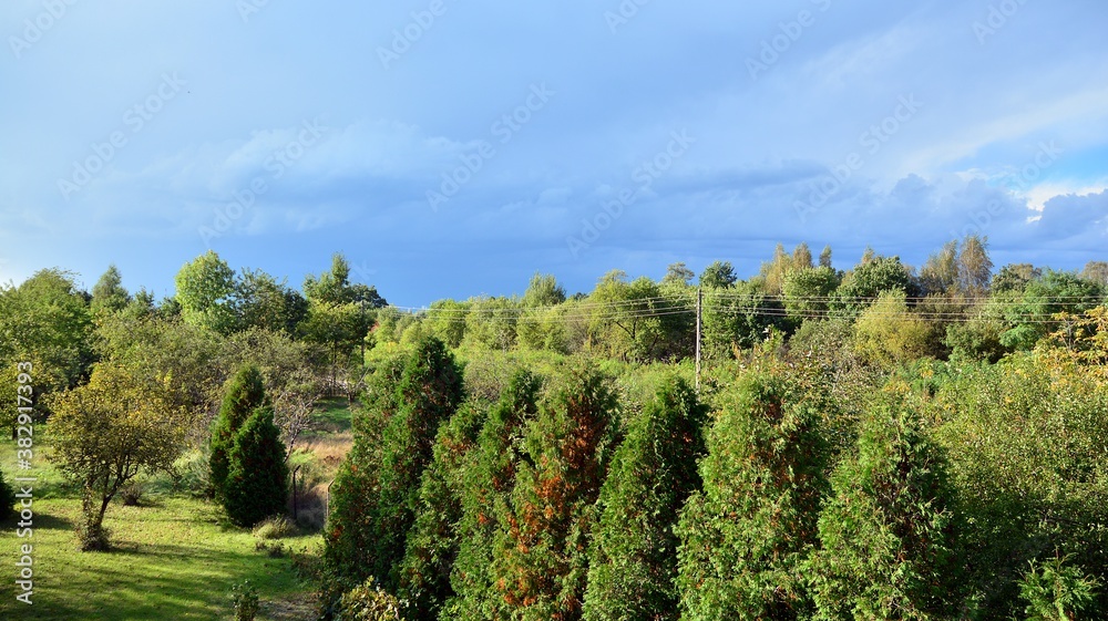 Black storm clouds during summer, Landscape with trees and meadows