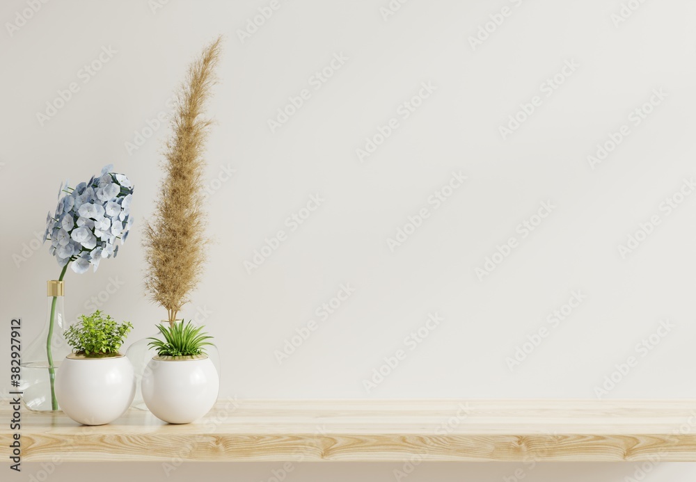 Mockup wall with plants on Shelf wooden.