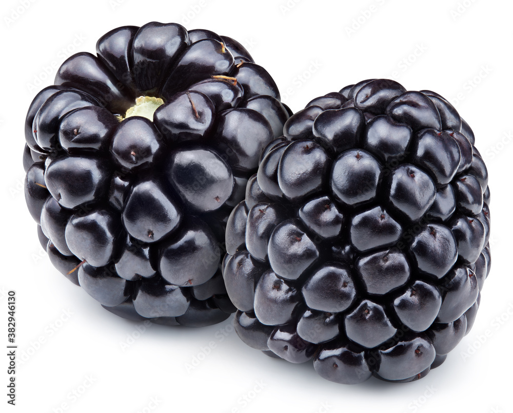 Group ripe blackberry isolated