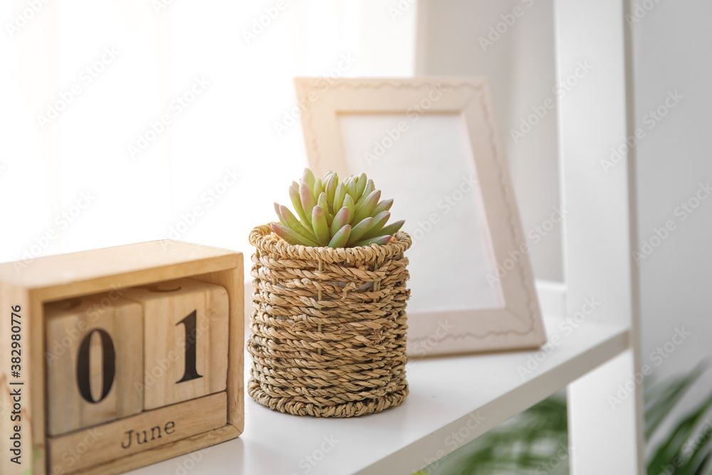 Succulent in pot and calendar on shelf