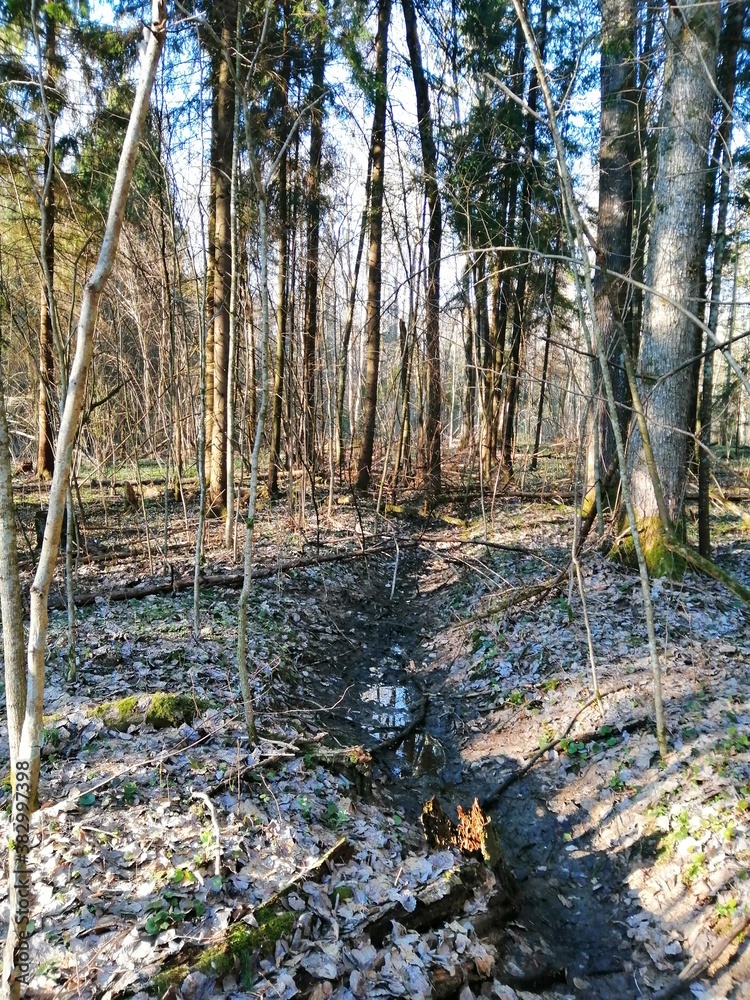 Vitebsk, places of battles of 1941 - 1943.