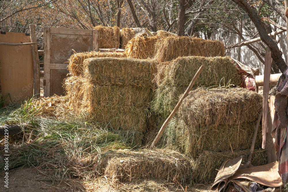 Hay stack, dry hay is piled up in the farmland.