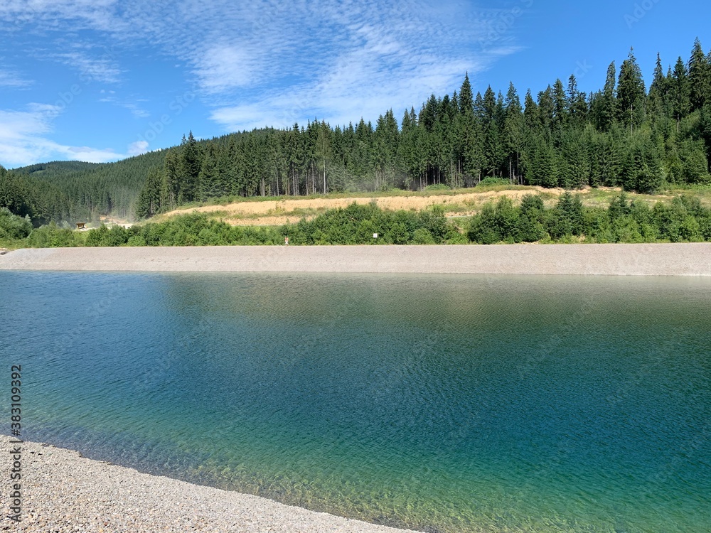 lake and forest