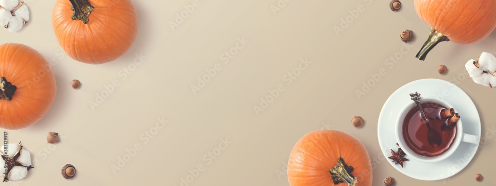 Black tea with pumpkins and cinnamon sticks - overhead view