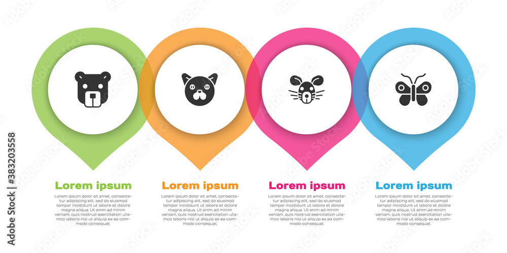 Set Bear head, Cat, Rat and Butterfly. Business infographic template. Vector.