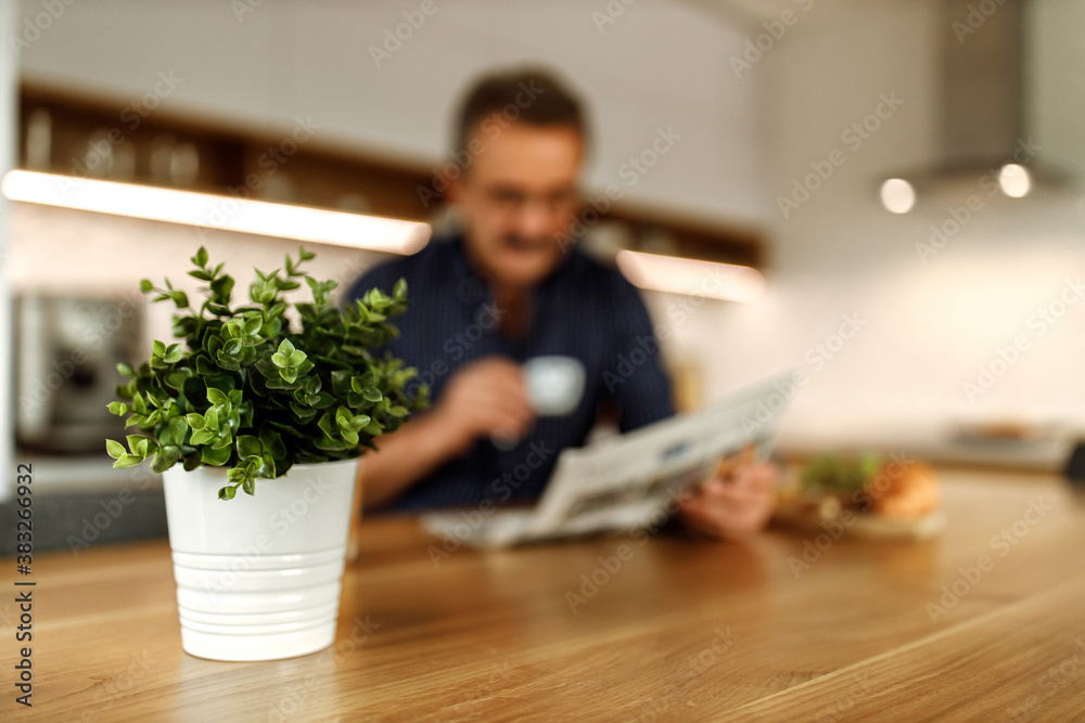 Beautiful green plant standing on the desk, man in the background drinking coffee.