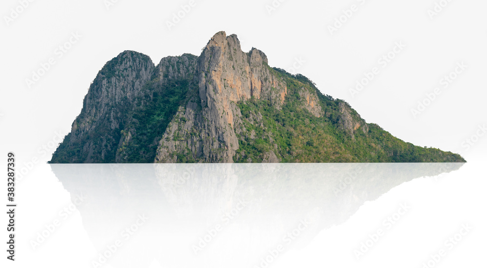 白色背景上有树木隔离的全景山