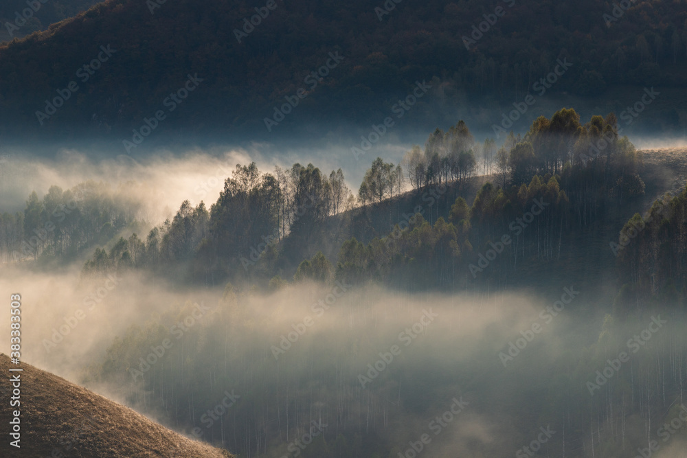 beautiful early autumn nature background foggy trees in the mountains