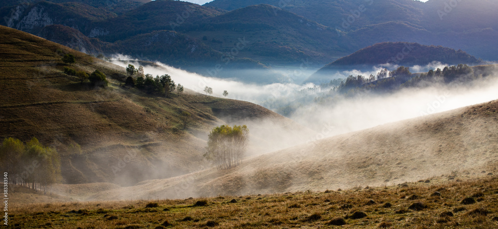 beautiful early autumn nature background foggy trees in the mountains