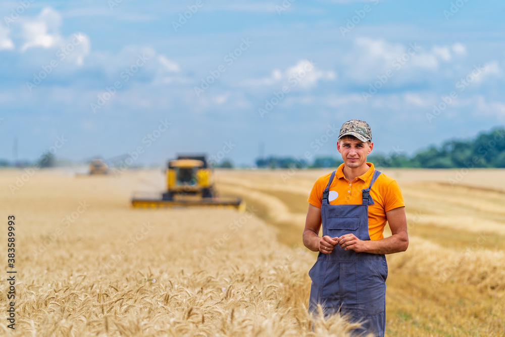 Young attractive farmer standing in wheat field. Combine harvester working in wheat field in backgro