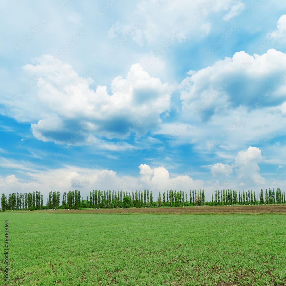 low clouds in blue sky over green field