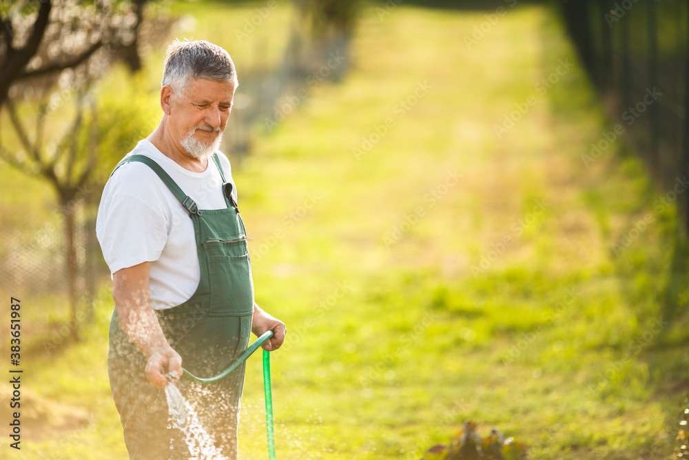 Portrait of a handsome senior man gardening in his garden