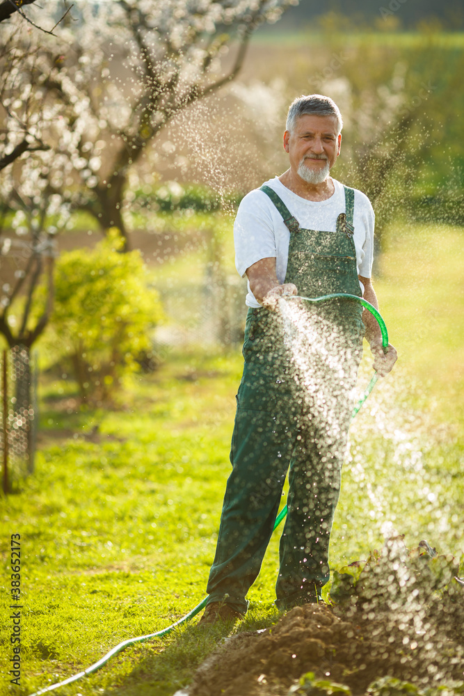 Portrait of a handsome senior man gardening in his garden