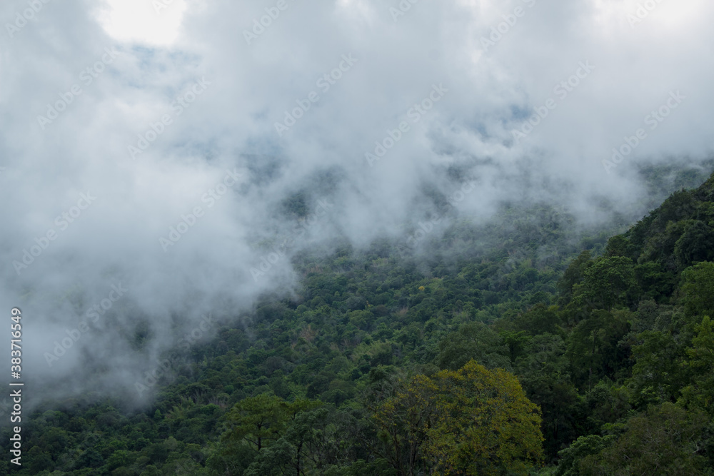 fog in the mountains