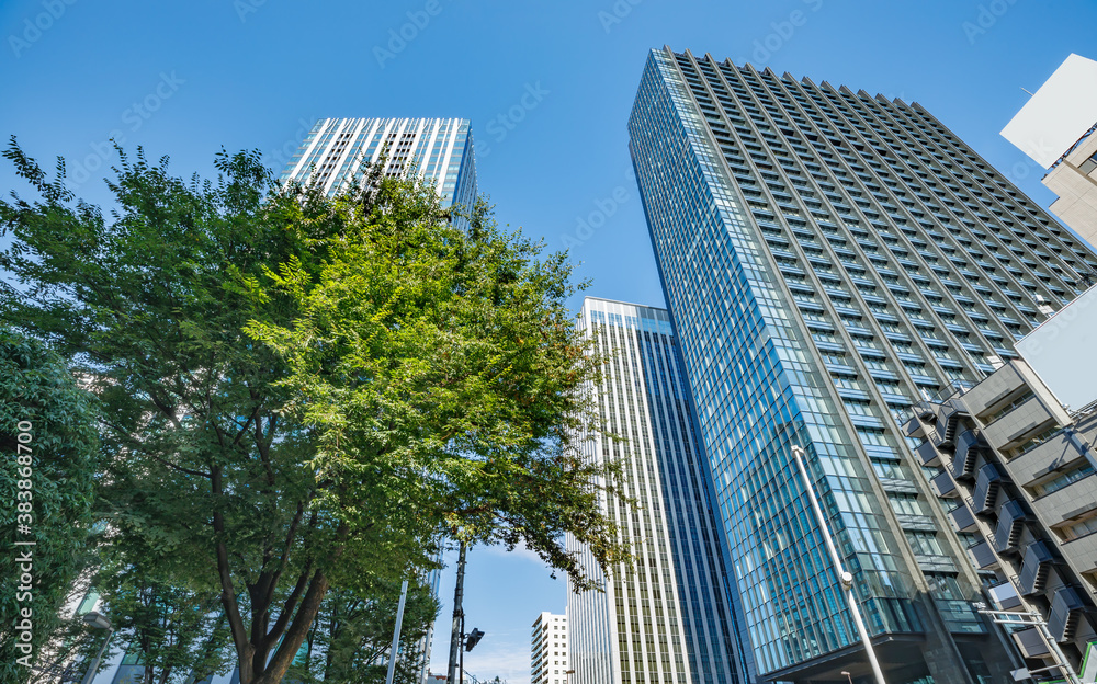 新宿のビル群と青空と木