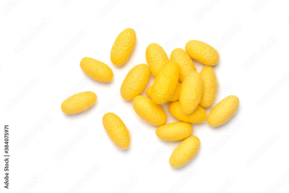 Top view of Yellow silkworm cocoons isolated on white background.