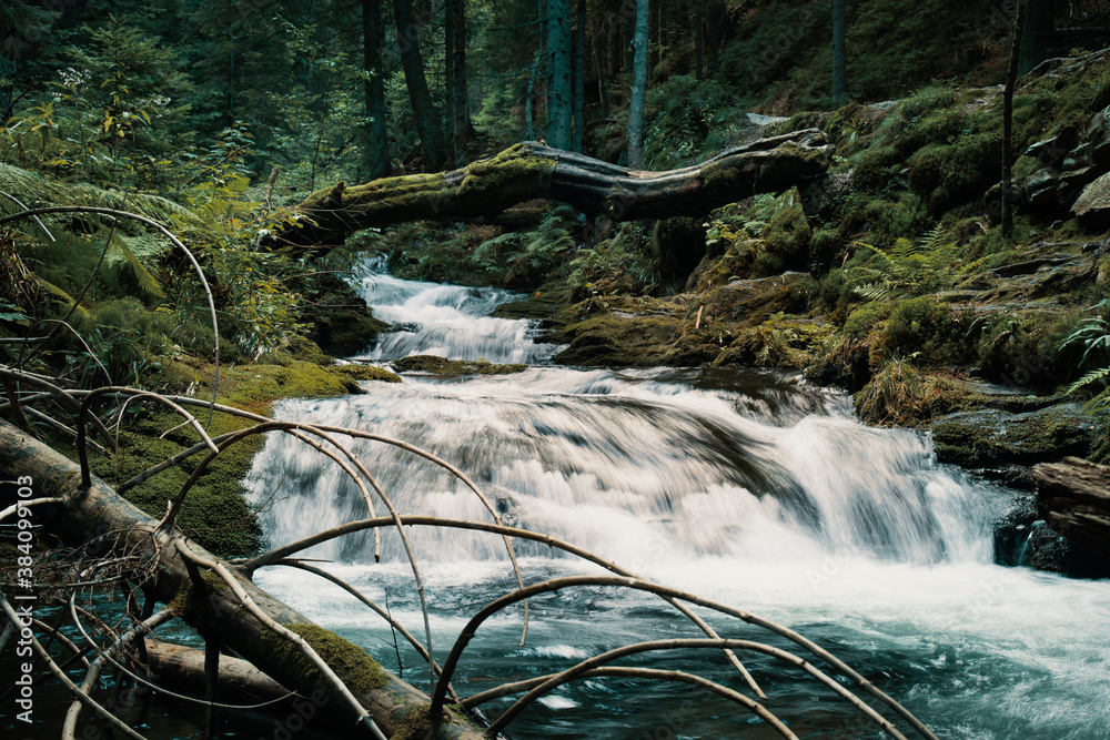 Wild cascade river situated in cold evening  forest mountain environment.