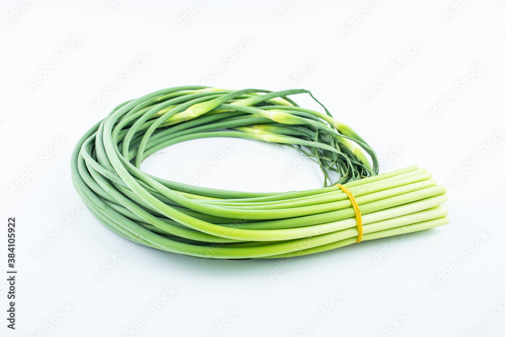 Handful of fresh garlic moss on white background