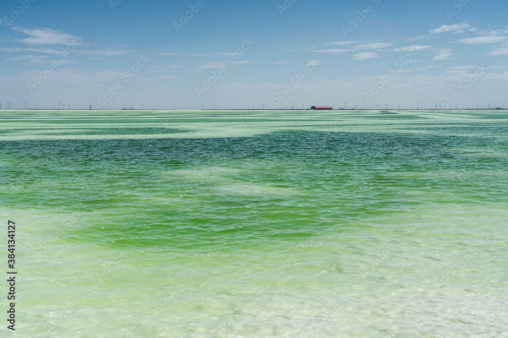 The green saline lake, natural lake background.