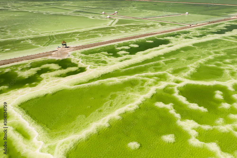 The green saline lake and beach pavilion, natural lake background.