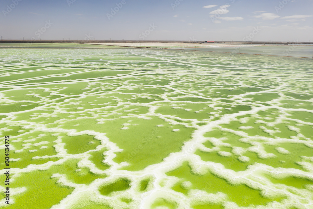 The green saline lake, natural lake background.