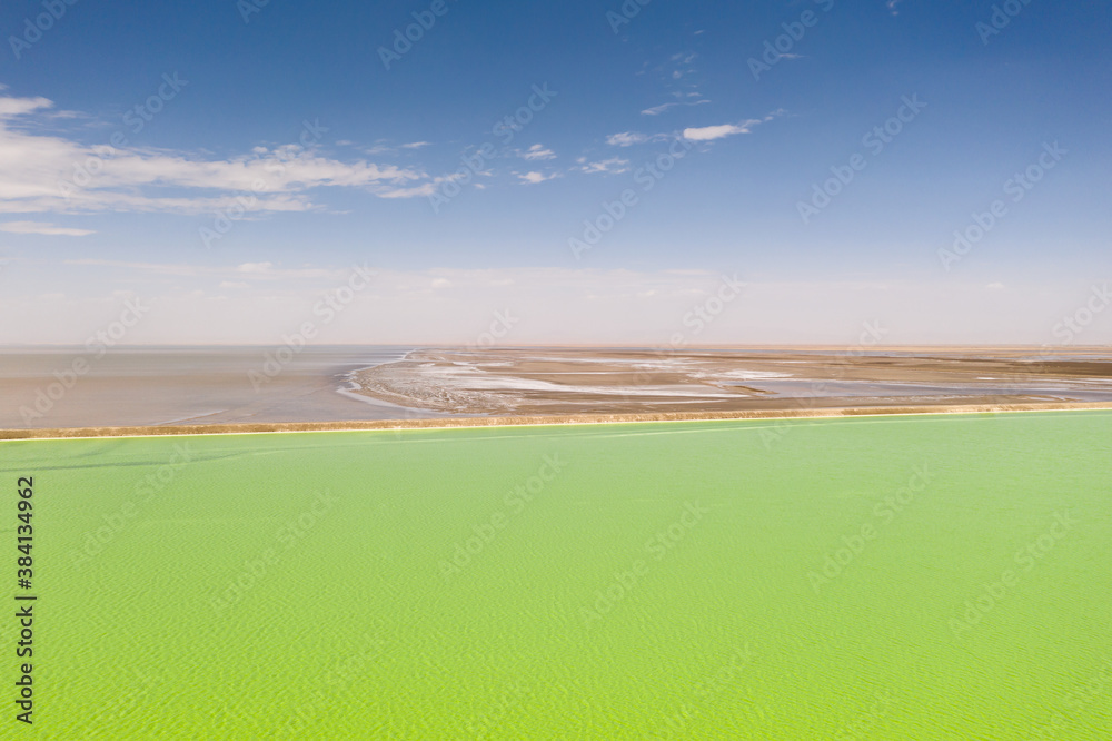 The green saline lake, natural lake background.