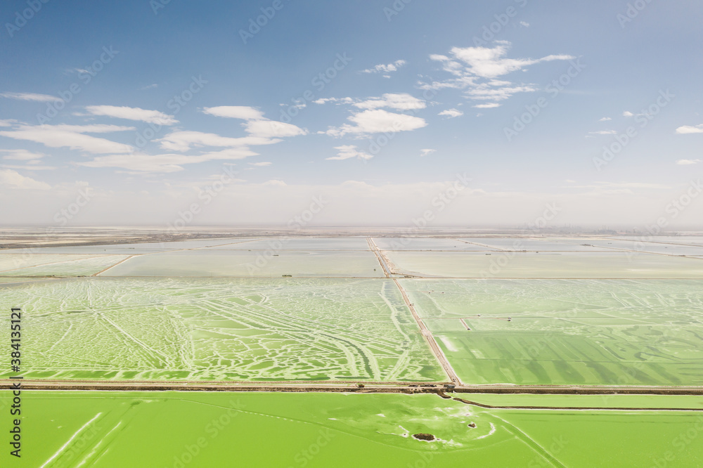 The green saline lake, natural lake background.