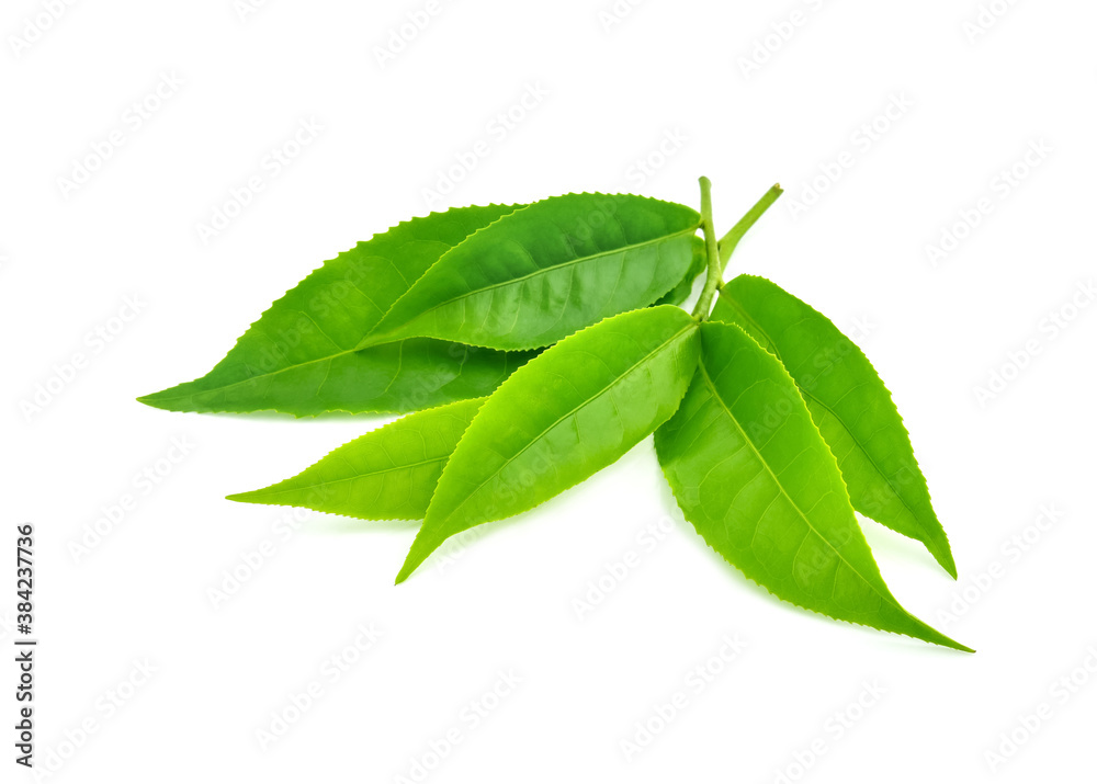 pile of green tea leaves isolated on white background