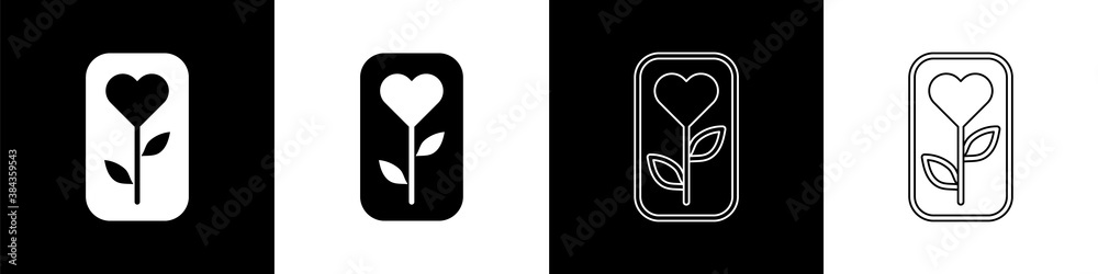 Set Flower rose icon isolated on black and white background. Vector.