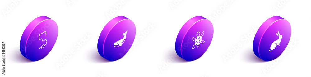 Set Isometric Worm, Whale, Turtle and Rabbit icon. Vector.